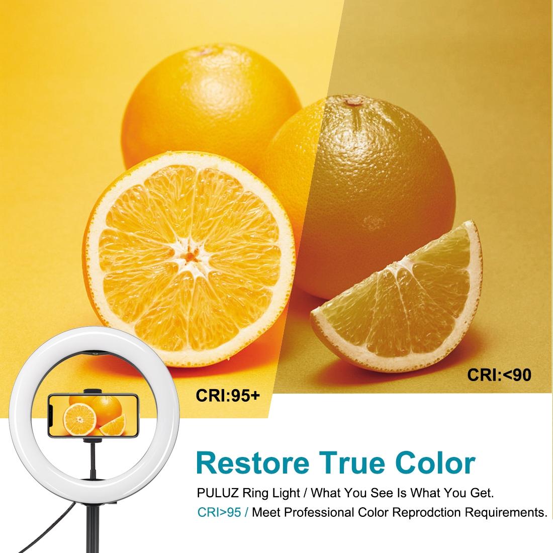 10.2 Dual-colour Led Ring Light with Usb Bluetooth Remote and Phone Holder - Black