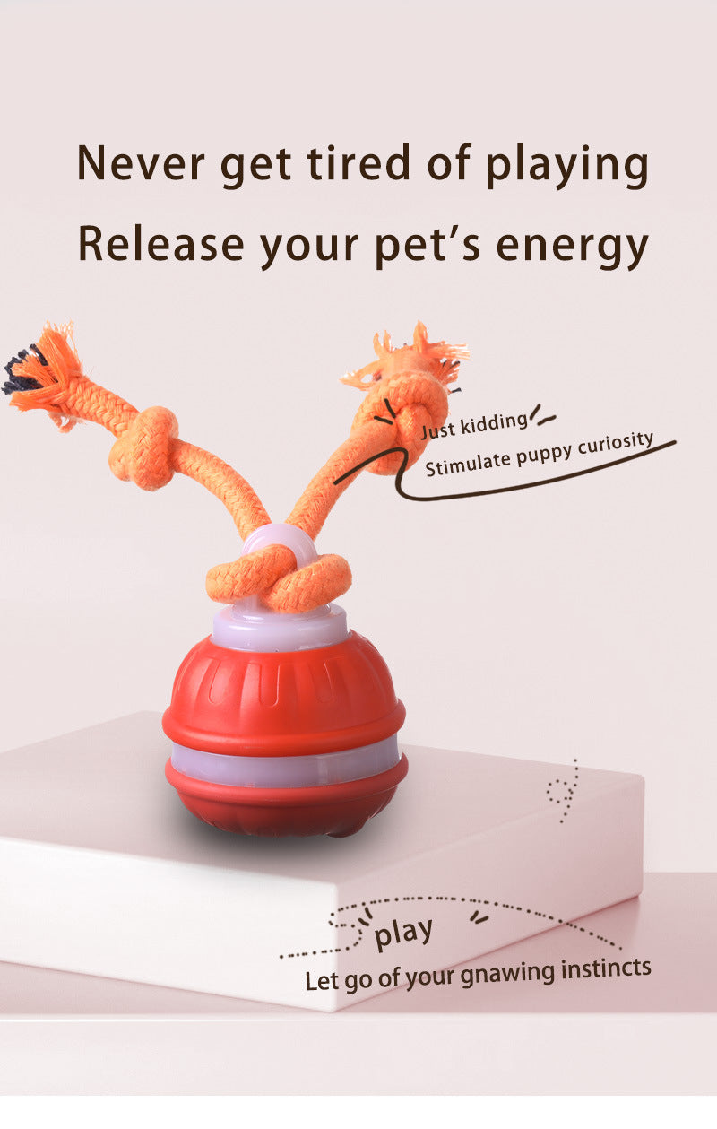 Orange 2-pcs Interactive Dog Toy - Self-Moving Ball with Rope, Boredom Buster (With Bird Calls)