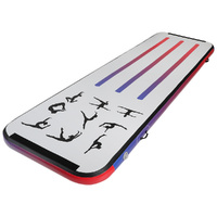 Everfit 3m Air Track Mat Gymnastics Tumbling Cheerleading