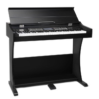 Alpha 61 Keys Electronic Piano Keyboard Digital Music Stand