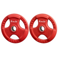 Everfit 30kg Olympic Weight Plates Set Red Dumbbell Barbell