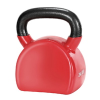 Everfit 24kg Kettlebell Red Home Gym Weight Lifting