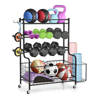 Everfit Dumbbell Weight Rack Home Gym Storage Black