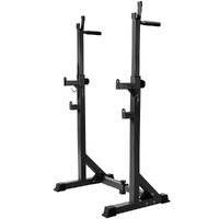 Everfit Adjustable Weight Bench Squat Rack 300kg Home Gym