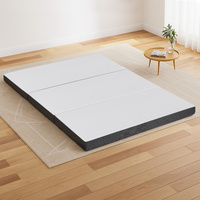 Giselle Bedding Queen Tri-Fold Memory Foam Sofa Bed Mattress