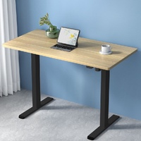 Artiss Motorised Standing Desk 120cm - White Oak