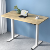 Artiss Standing Desk Motorised 120cm White Oak