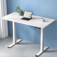 Artiss Motorised Standing Desk 120cm White