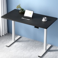 Artiss Electric Standing Desk Dual Motor 120cm Black