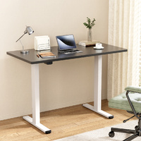 Artiss Electric Standing Desk Dual Motor 140cm Black