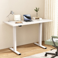 Artiss 120CM Motorised Dual Motor Standing Desk White