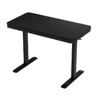 Artiss 120cm Electric Standing Desk Drawer Black