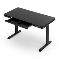Artiss Electric Standing Desk 120cm Glass Top Black Motorised