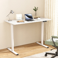 Artiss 120cm Electric Standing Desk Sit Stand White