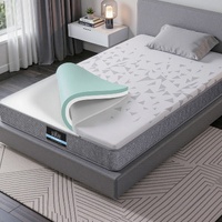 Giselle Bedding Single Mattress 23cm Pocket Spring Mattress with Adjustable Firmness Reversible Foam Layer for Medium Firm & Firm Support Motion Isola