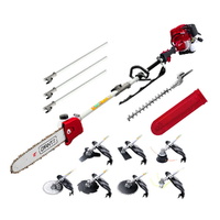 Giantz 4 Stroke 40cc Pole Chainsaw 12in Petrol Tree Pruner