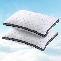Giselle Bedding 2 Pack Microfibre Pillows