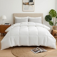 Giselle Bedding Queen Size 400GSM Microfiber All Season Quilt