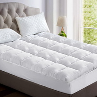Giselle Bedding 5cm Bamboo Pillowtop Mattress Topper 1000GSM Mattress Pad for Back Pain Relief Washable Breathable Protector with 45cm Deep Pocket Sin