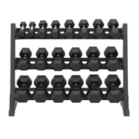 7 Pairs Hex Dumbbells PLUS Dumbbell Rack (175 kg | 5kg-20kg | 1.1m 3-tier Rack)