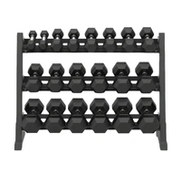 7 Pairs Hex Dumbbells PLUS Dumbbell Rack (280 kg | 5kg-35kg | 1.1m 3-tier Rack)