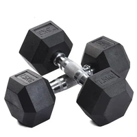 Rubber Hex Dumbbells 2X12.5 kg