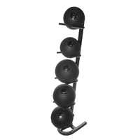 Slam Ball Set with 5-tier Rack (6,8,12,15,20 Kg)