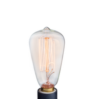 NP3 Edison Light Bulb for Wax Warmers