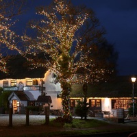 Samland 1200 LED Christmas Fairy Light Multi-Colour