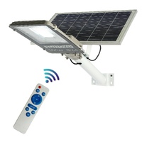 Samland 100W Solar Garden Pathway Street Light Adjustable Panel