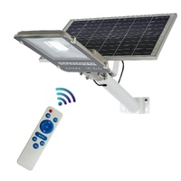 Samland 60W Solar Garden Pathway Street Light Warm White
