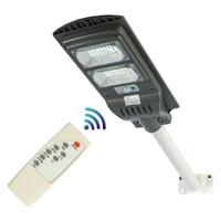 Samland 60W Solar PIR Garden Light with Motion Sensor