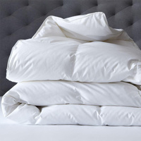400 GSM All Seasons Natural Bamboo Queen Quilt by Renee Taylor