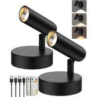 AIBOO Rechargeable Floor Spotlight 2PCS Indoor No-Glare Wireless Remote Art