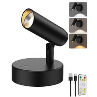 Rechargeable Floor Spotlight Indoor No-Glare Wireless Remote Art Accent Light