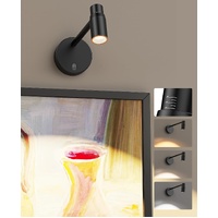 HUDYOGY Zoomable Picture Light Wall Battery Operated Art Dimmable Remote