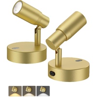 AIBOO Rechargeable Dimmable Picture Light with Remote, 6000mAh Gold