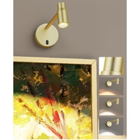 HUDYOGY Zoomable Battery Picture Light with Remote, CCT Dimmable Gold