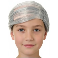 Heaven Costumes Funny Old Man Comb Over Boys Wig