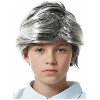 Heaven Costumes Salt Pepper Old Man Boys Wig