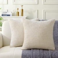 18" x 18" Decorative Throw Pillow with Inserts, Set of 2 Soft Modern Farmhouse Weave Pattern Throw Pillows, Square Boho Pillow for Couch, Bed, Sofa De