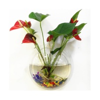 1 Set Fish Tank Decorative Wall Mounted Hanging Flower Vase-Transparent
