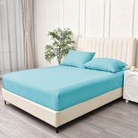 3 Piece Fitted Sheet Set- Fitted Sheet & Pillowcases -Breathable Bedding - Wrinkle, Fade, Stain Resistant- 40cm Deep Pocket Fitted Bed Sheet Set(Ice b