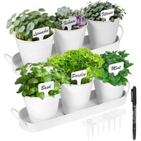 Herb Garden Planter Indoor Kit – 6 Metal Pots with 2 Trays for Windowsill & Kitchen Counter – Modern Decorative Indoor Planters for Herbs, Succulents 