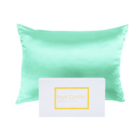 Royal Comfort Mulberry Silk Hypoallergenic Pillowcase Twin Pack Mint