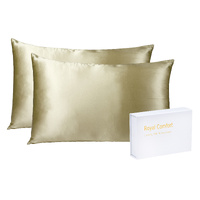 Royal Comfort Mulberry Silk Pillowcase Twin Pack 51x76cm Champagne
