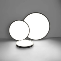 VIKUS LED Ceiling Light 24W 4500K Natural Light Black