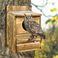 GENUX Owl Nesting Box Bird Feeder Paulownia Wood Acrylic
