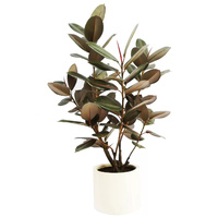 GENUX Artificial Rubber Tree 1.2m