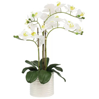 GENUX Artificial Orchid with Ribbed Pot 67cm